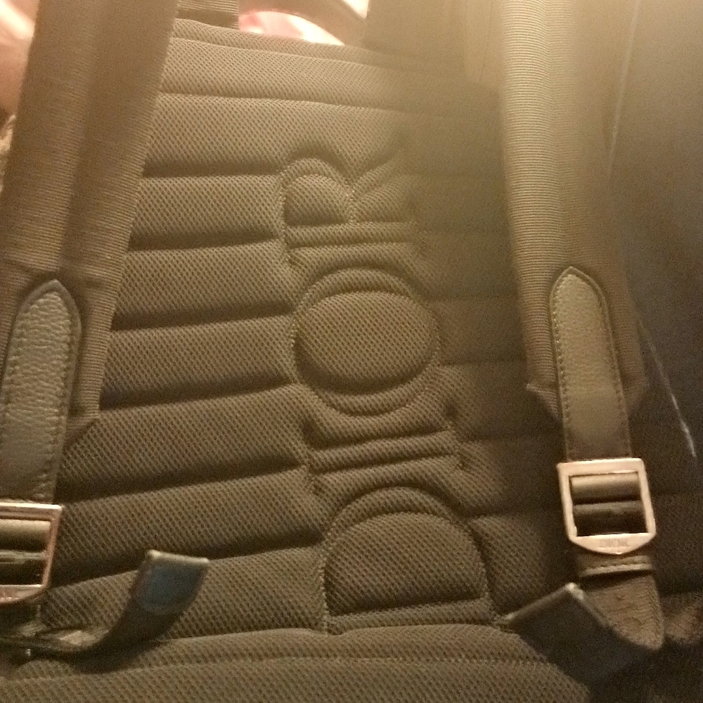 Safari Dior backpack